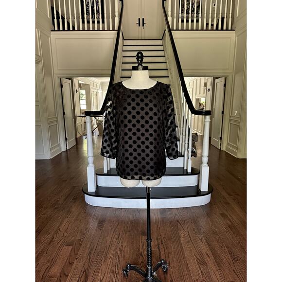 RSVP TALBOTS Velvet PolkaDot Chiffon Blouse SpecialOccasion FestiveHoliday Party - Picture 3 of 8